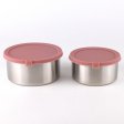Stainless steel food containers, Large - Set of 2 - Rose