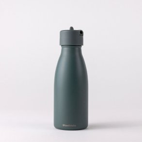 Insulated stainless steel water bottle with straw - Pine